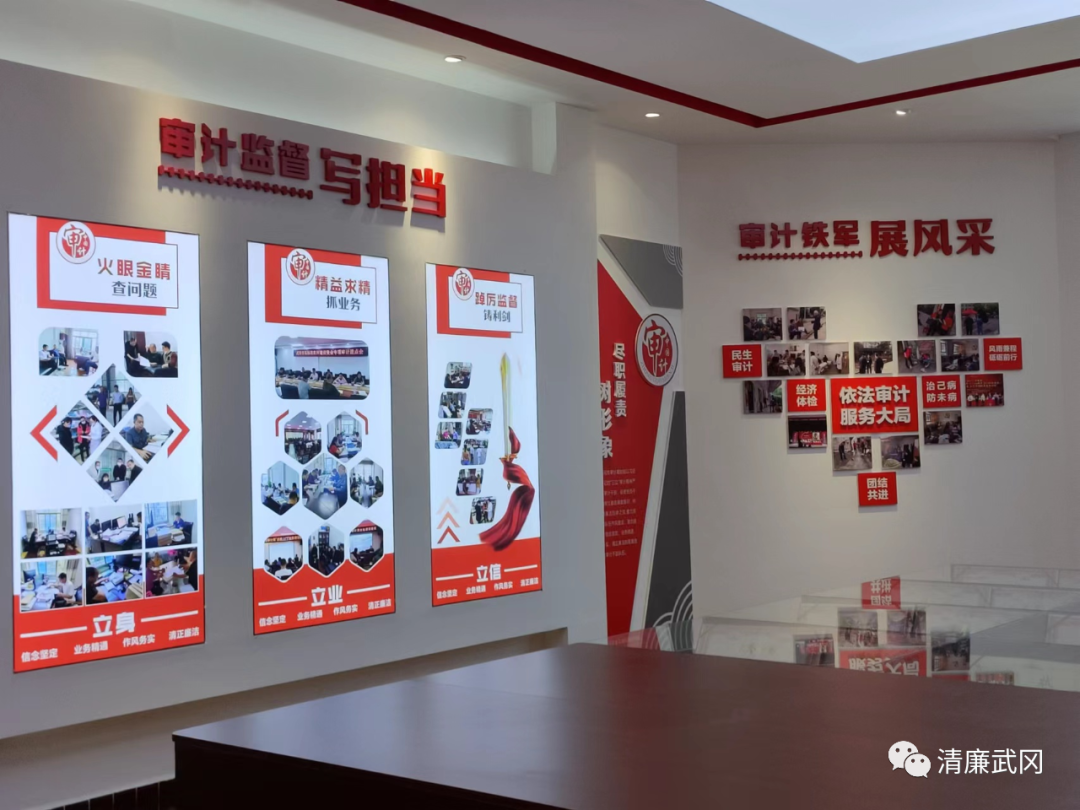 清廉机关建设｜湖南省武冈市审计局：加强清廉建设 赋能审计提效_邵阳头条网
