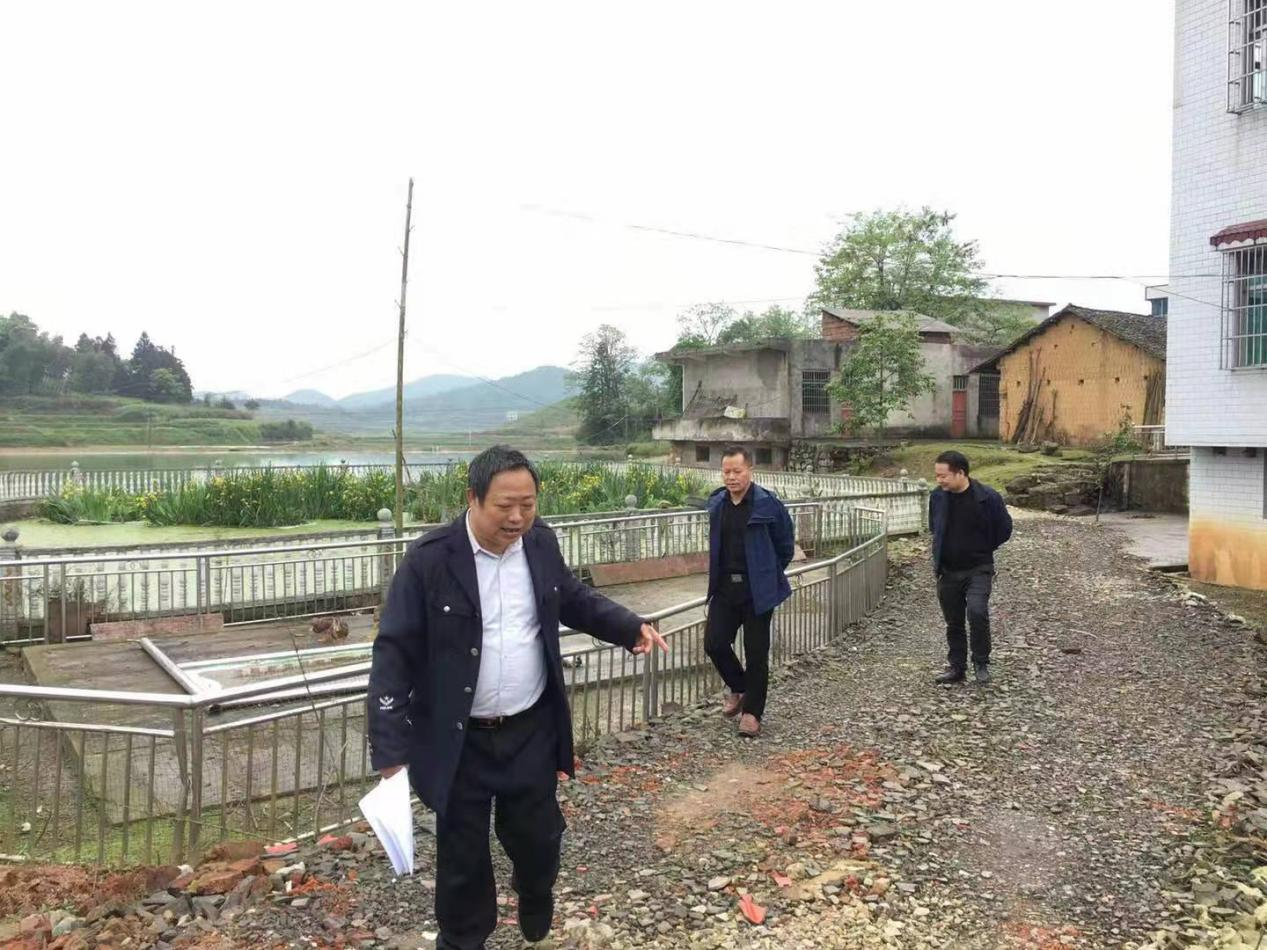 梁恩雄调研秦桥镇新春村工作
