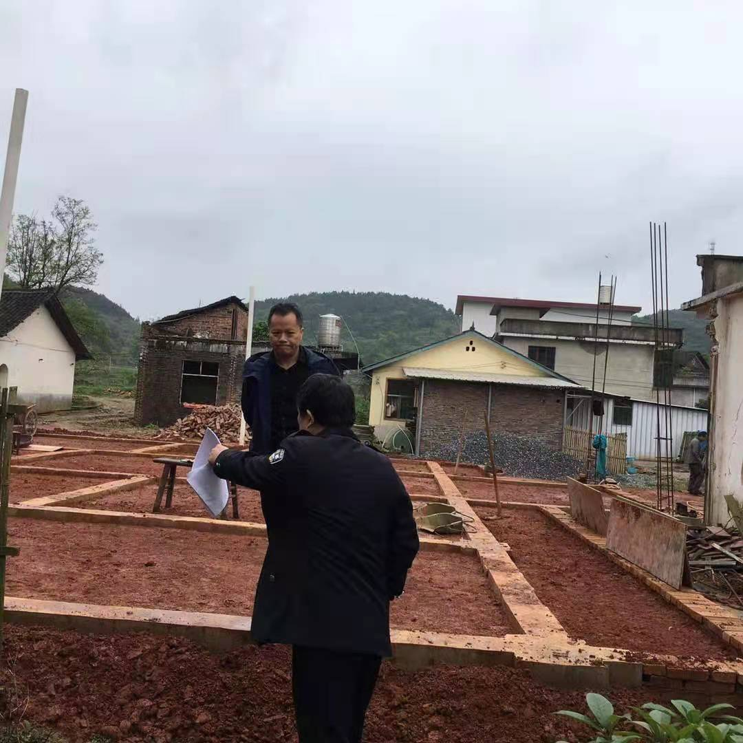 梁恩雄调研秦桥镇新春村工作
