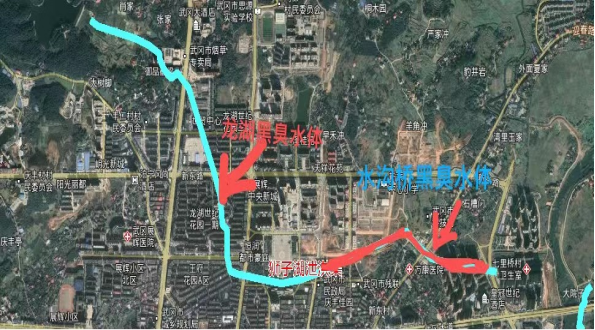 关于武冈市建成区黑臭水体排查结果的公告_邵商网