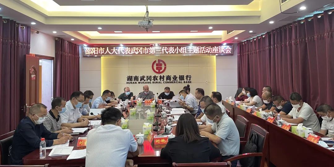 李小平参加邵阳市人大代表武冈市第三代表小组主题活动_邵阳头条网