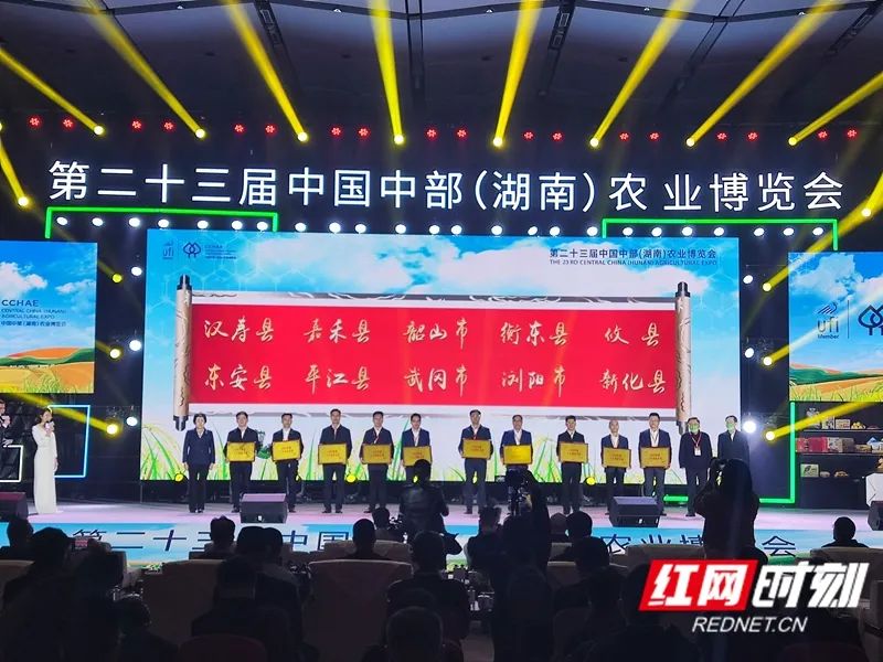 十大湘菜名县刚刚发布，武冈市入选！_邵阳头条网