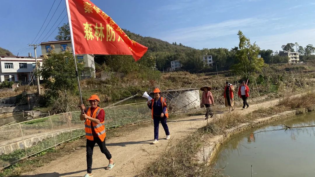 主动作为出实招 多措并举显实效 秦桥镇板桥村构建森林防火群防群控新格局_邵商网