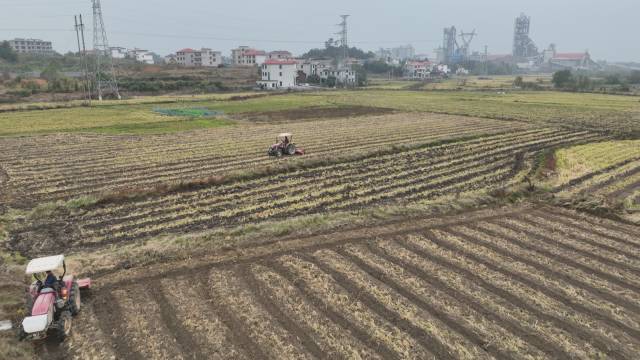 武冈：久旱逢甘露 全力以赴抢种20万亩油菜_邵阳头条网