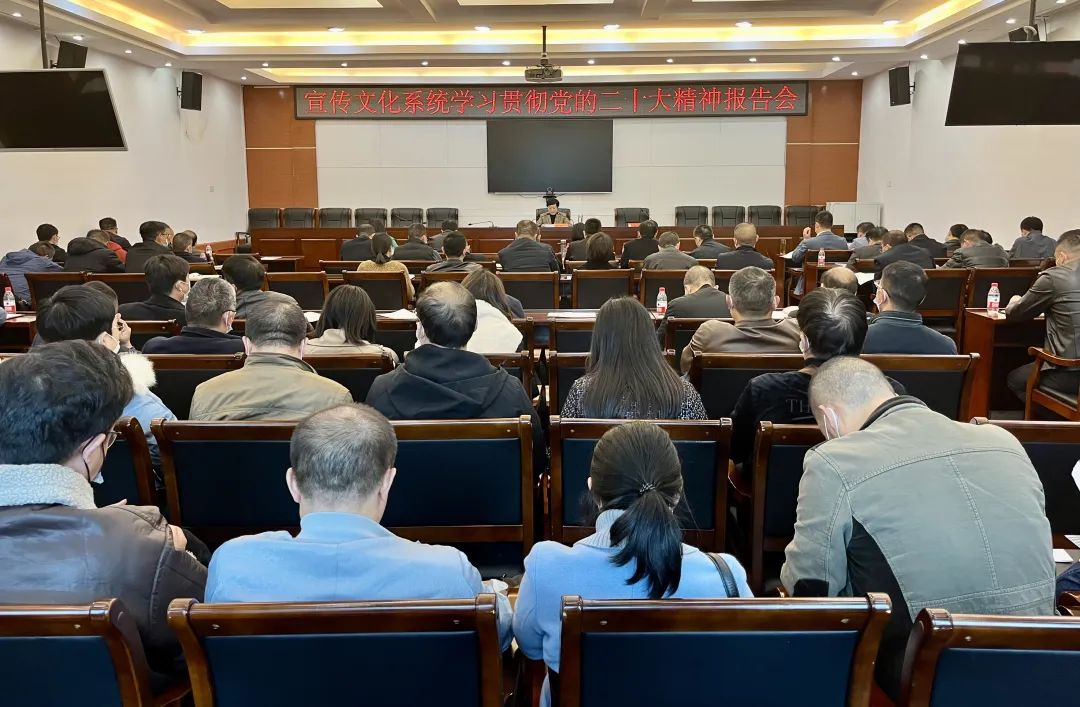 武冈市宣传文化系统召开学习贯彻党的二十大精神报告会_邵阳头条网