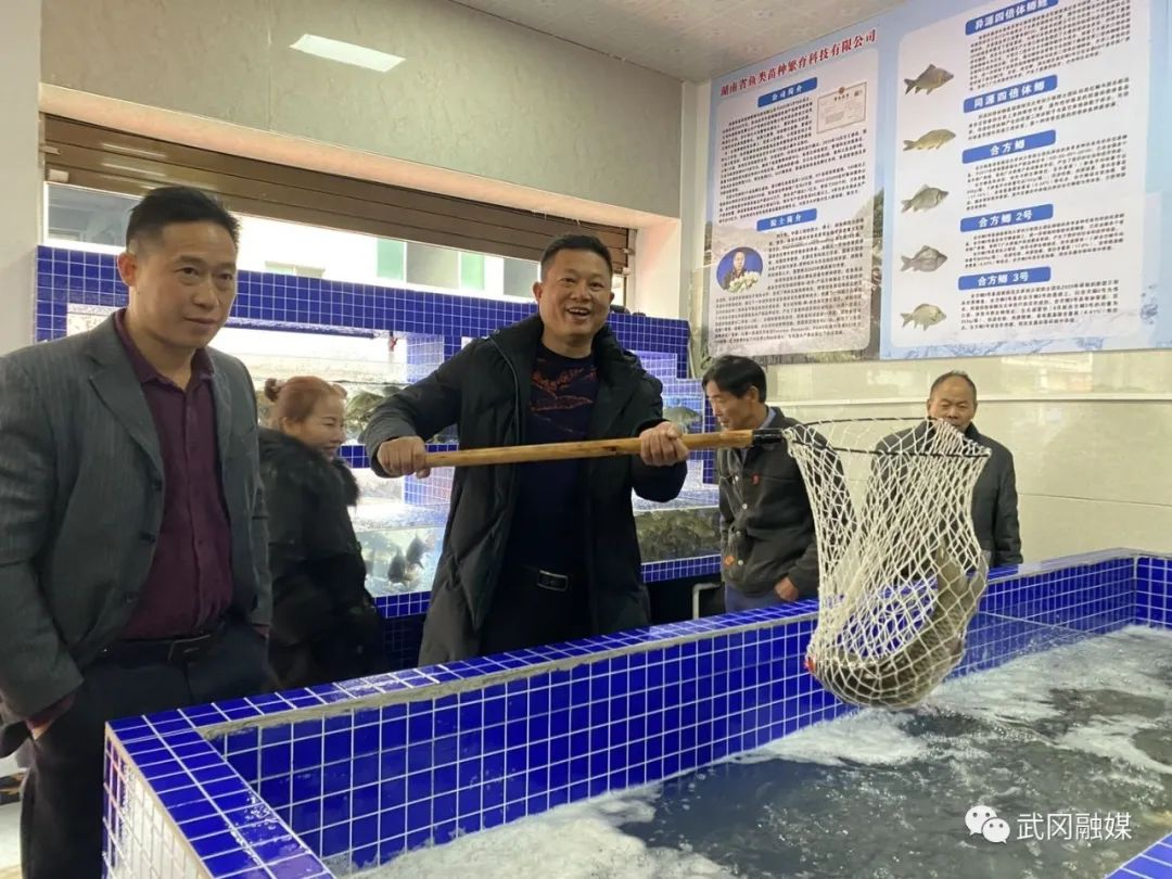 首家稻花鱼配送中心落户北站水果市场_邵阳头条网