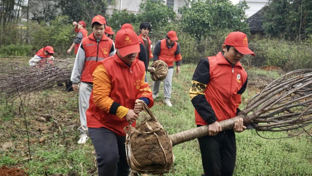 团市委： 以基层服务型团组织助力乡村振兴_邵阳头条网