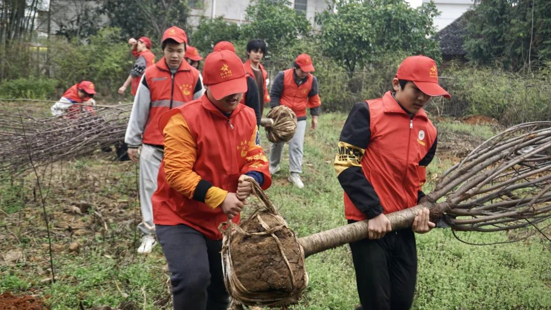 团市委： 以基层服务型团组织助力乡村振兴_邵商网