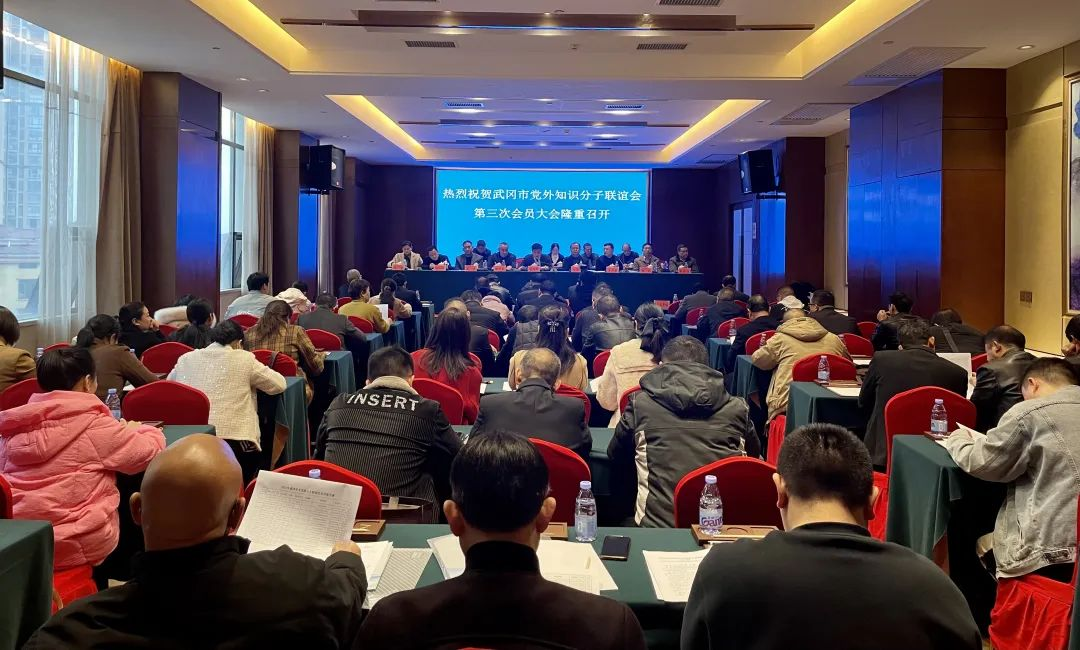 武冈市召开党外知识分子联谊会第三次会员大会_邵阳头条网