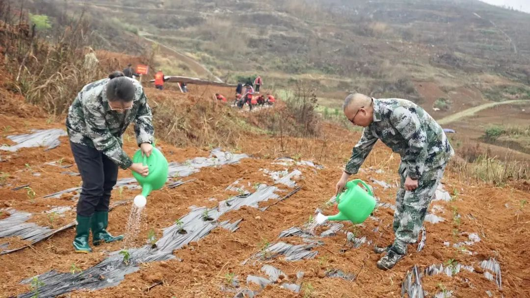秦桥镇：撂荒地“活起来”村集体“富起来”_邵阳头条网
