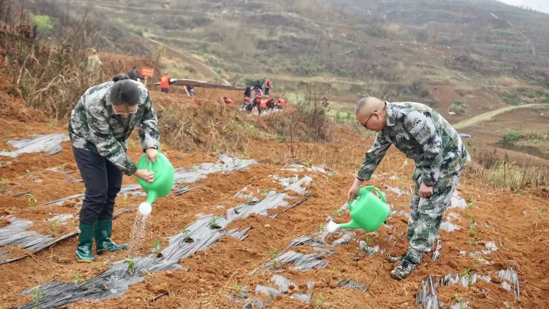 秦桥镇：撂荒地“活起来”村集体“富起来”_邵商网