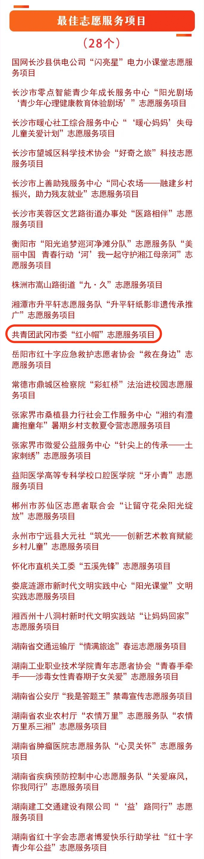 喜报！“红小帽”获全省学雷锋和志愿服务“最佳志愿服务项目”并受大会表彰_邵商网