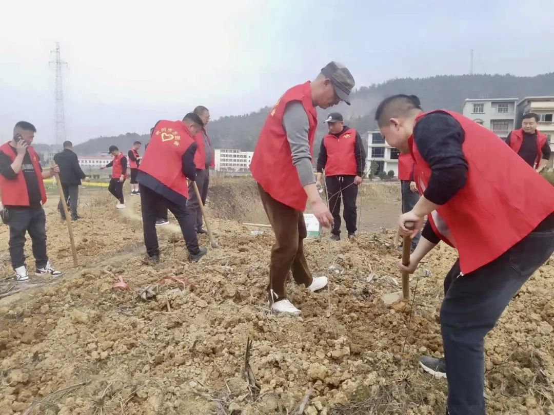 市融媒体中心开展植树护绿志愿服务活动_邵阳头条网