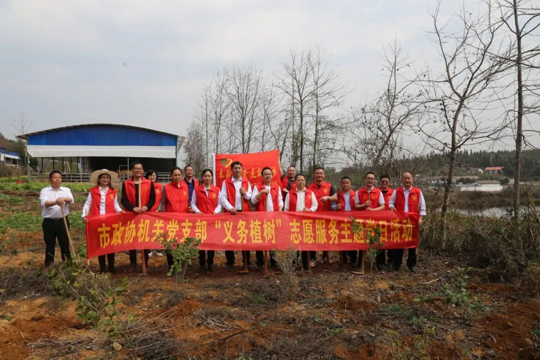截止3月12日，武冈市已完成植树面积8893亩_邵阳头条网