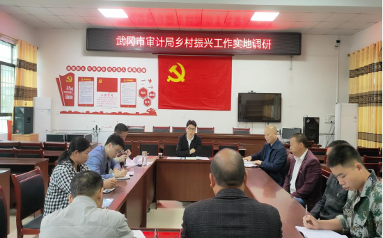 下好先手棋 走好振兴路——武冈市审计局实地调研解难题_邵阳头条网