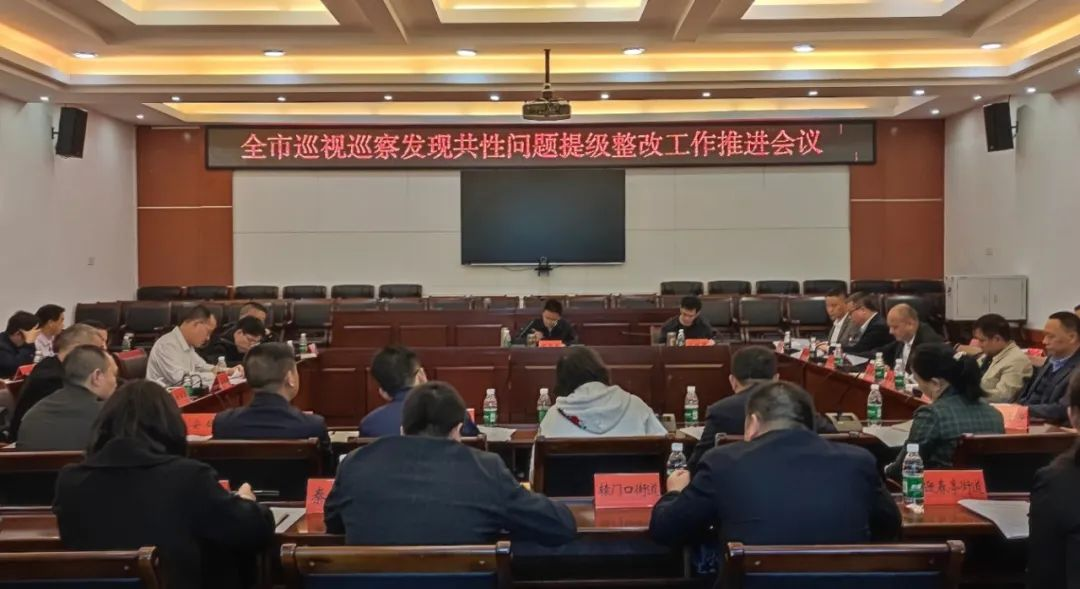 武冈市巡视巡察发现共性问题提级整改工作推进会召开_邵阳头条网