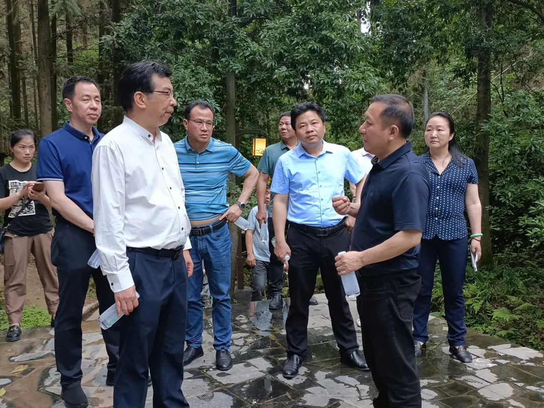 国家林草局一级巡视员陈建武来武冈市调研松材线虫病防控工作_邵阳头条网
