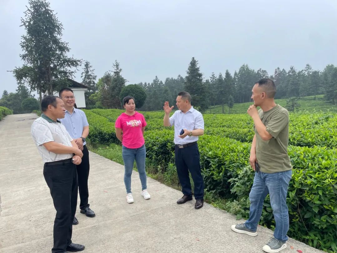 邵阳市委宣传部调研武冈市文旅融合工作_邵阳头条网