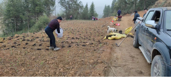 稠树塘镇：无人机助力耕地销荒 护航提质增效_邵商网