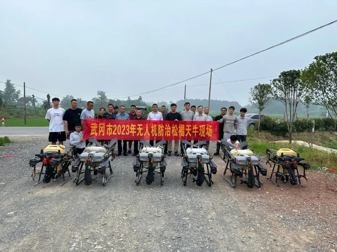 邵阳市林业局赴武指导松褐天牛防治工作_邵阳头条网