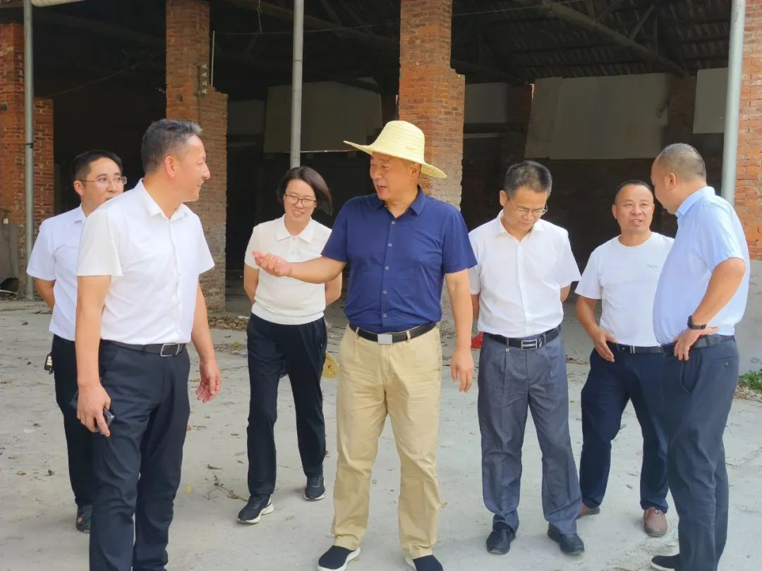 蒋志刚到武冈开展《湖南省居民自建房安全管理若干规定》贯彻落实情况执法检查_邵阳头条网