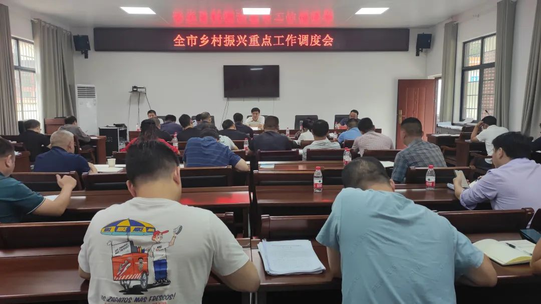 武冈市乡村振兴重点工作调度会召开_邵阳头条网
