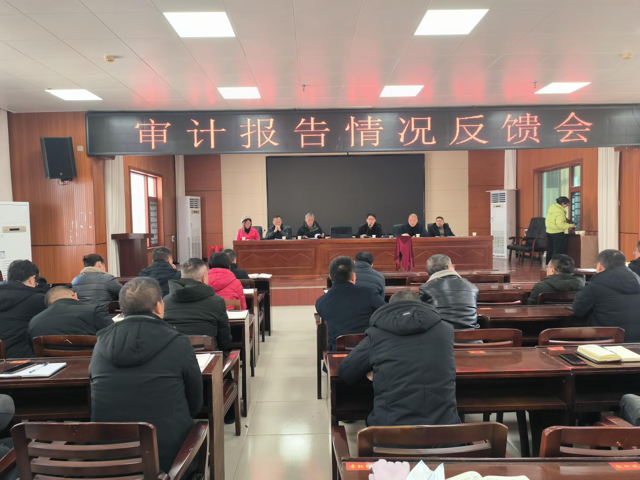 武冈市审计局:开好审计结果反馈会着力做好审计整改“下半篇”文章_邵阳头条网