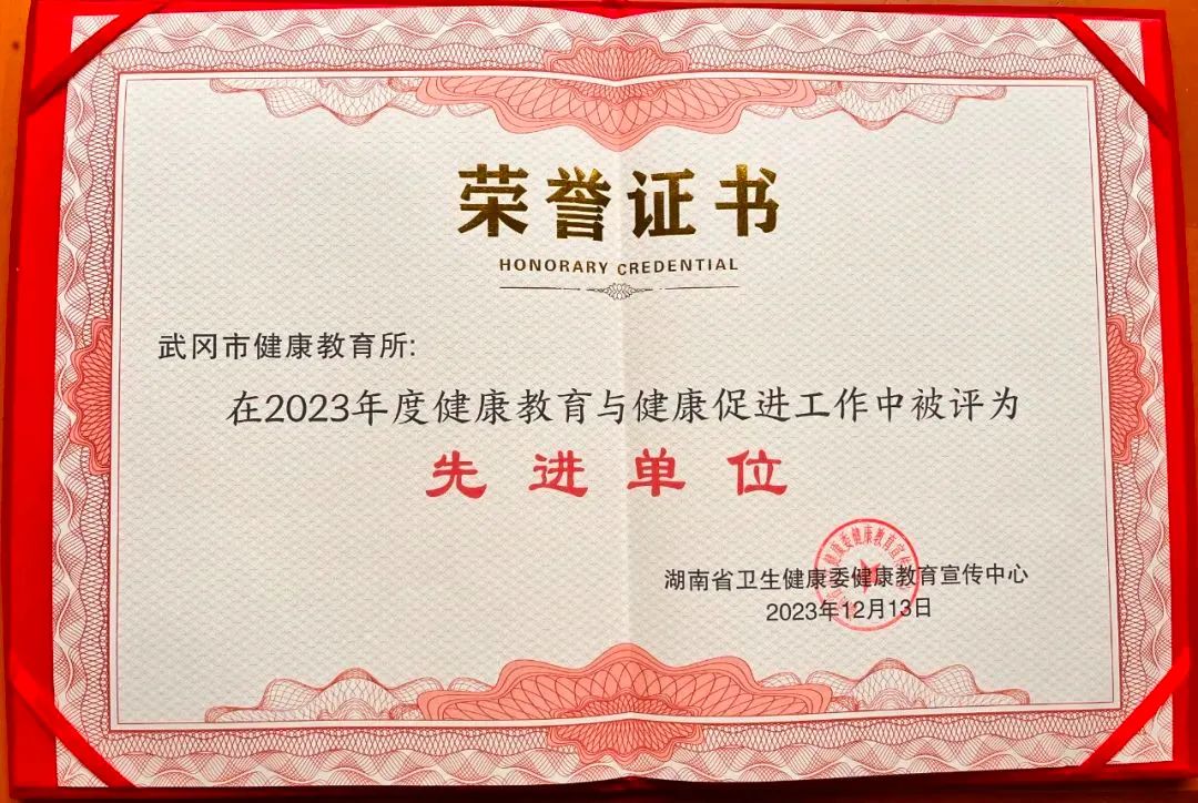 喜报!武冈市健康教育所荣获“湖南省2023年度健康教育与健康促进工作先进单位”_邵阳头条网