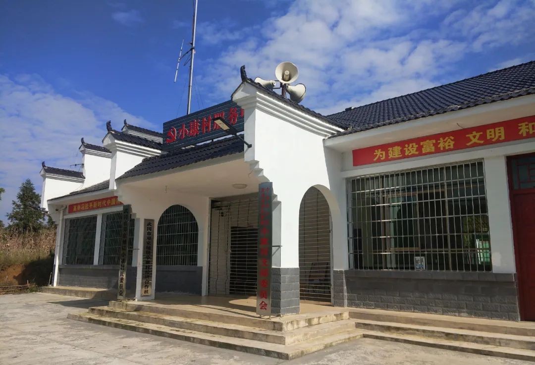 小康村：“三抓三进”树新风_邵阳头条网