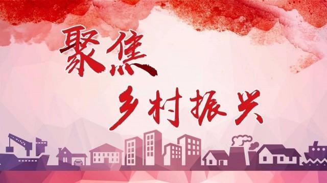唐克俭与邓元泰镇村干部商讨乡村振兴战略_邵阳头条网