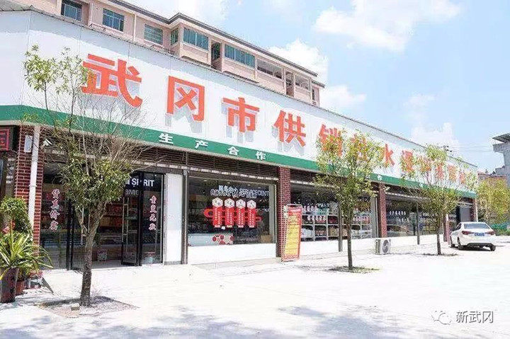 武冈供销社：敢为三湘先，恢复重建基层社(图1)