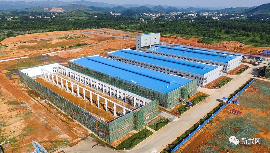 中共武冈市委五届九次全体会议召开(图4)