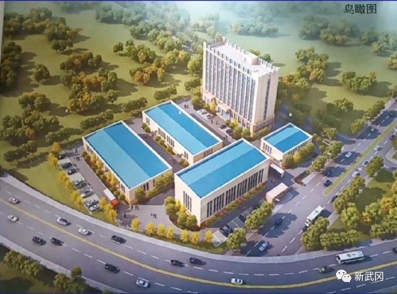 武冈市召开秋季重点产业项目集中开工现场会(图3)