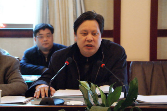 武冈市总体规划20082030评审会召开