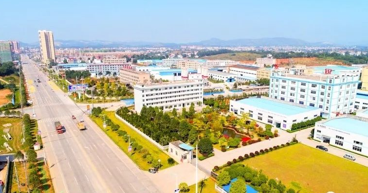 武冈加快产业项目建设促脱贫提质(图2)