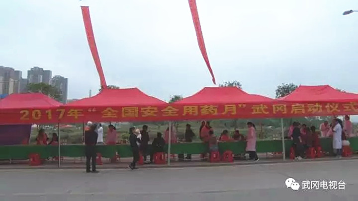 武冈市举行2017年“全国安全用药月”启动仪式(图1)