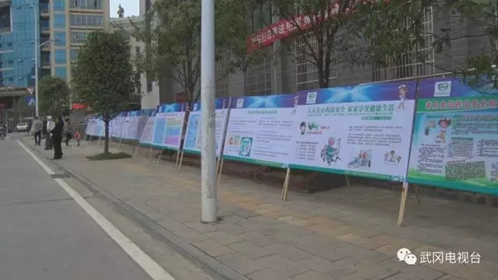 武冈市举行2017年“全国安全用药月”启动仪式(图3)