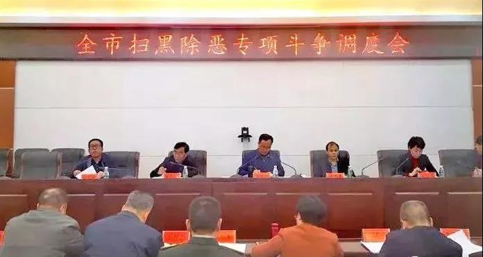 武冈再掀学习贯彻习近平总书记关于扫黑除恶专项斗争系列重要论述精神新高潮(图1)