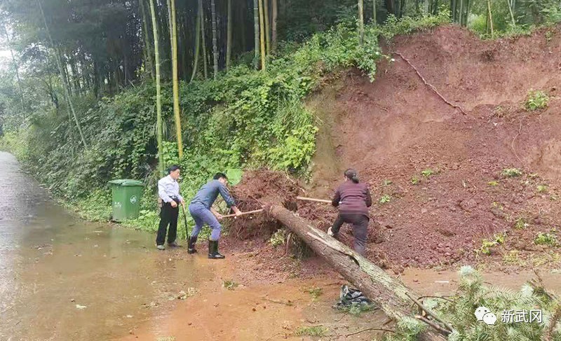 武冈：干群同心抗暴雨  众志成城党旗红(图4)
