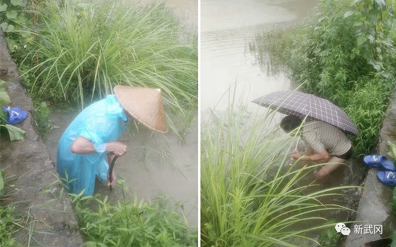 武冈：干群同心抗暴雨  众志成城党旗红(图1)