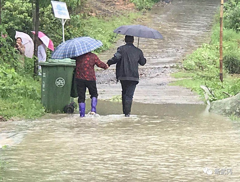 武冈：干群同心抗暴雨  众志成城党旗红(图2)