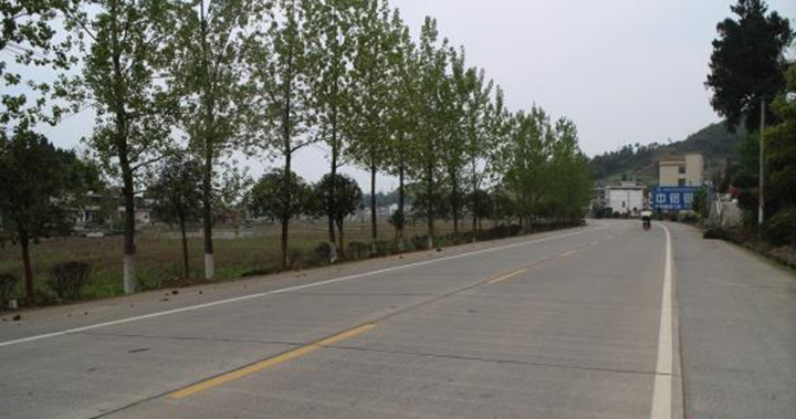 市公路局组织对S220线武冈段补栽行道树(图2)