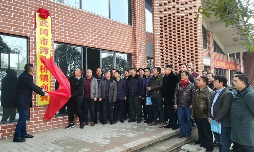 武冈市首家乡镇商会——湾头桥镇商会成立(图1)