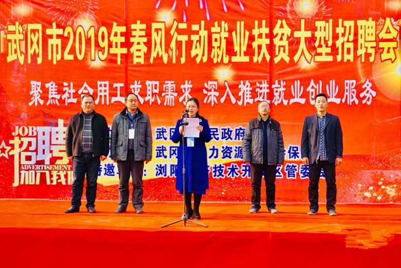武冈市2019年“春风行动”招聘会助333人达成初步就业意向(图1)