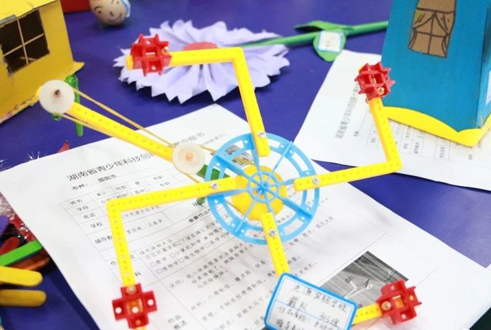 武冈市青少年科技教育结硕果(图4)