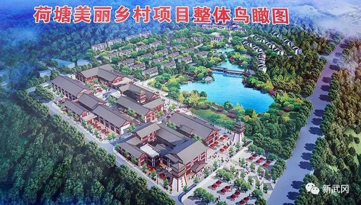 武冈美丽乡村——荷塘月正“圆”(图2)