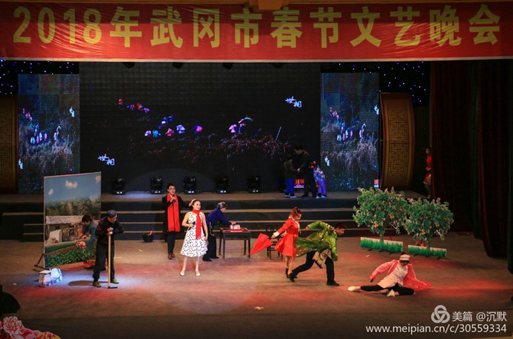 武冈市2018年春节联欢晚会(图13)