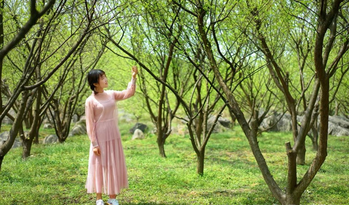 春暖花开，带您欣赏武冈美景(图7)