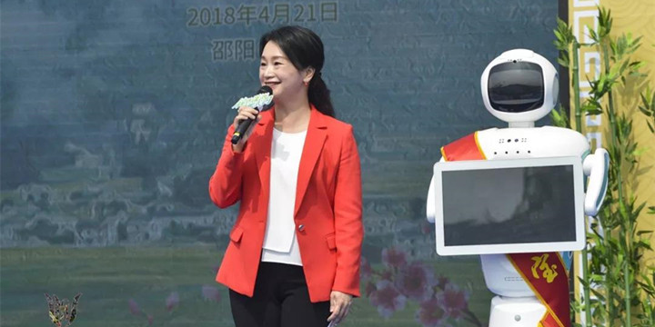 锦绣潇湘，福地武冈——2018湖南春季乡村旅游节开幕式美图集(图8)