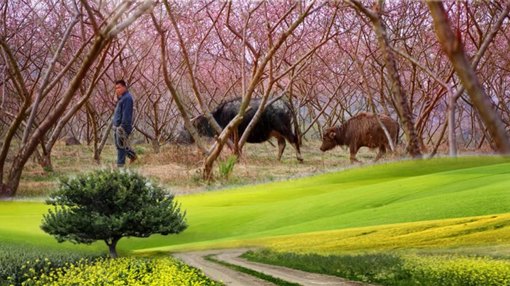 春暖花开，带您欣赏武冈美景(图3)